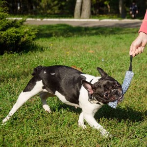 Кусалка из french linen «Agility Training» для французского бульдога